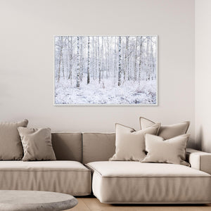 Nysnö i björkdungen - CANVAS