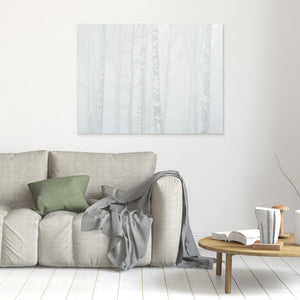 Dimma i björkskog vid Balltorp, Mölndal – vinterlandskap | Canvas