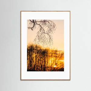 Solnedgång i Landvetter – siluetter och kvällsljus | Fine Art Print