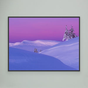 Rosa gryning över Grövelsjöfjällen - CANVAS