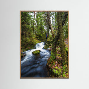 Vattenfall i Bråtaskogens naturreservat – Mölnlycke | Fine Art Print