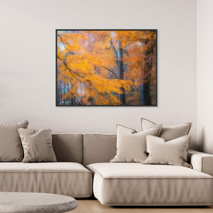 Gyllene höst i Svejserdalen - CANVAS