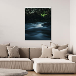 Ormbunkar vid Mölndalsån – Kvarnberget, Risbohult naturreservat - CANVAS