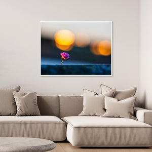 Blommande trift vid Lerkil – Kungsbacka kommun | Canvas