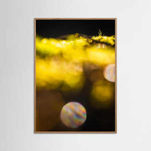Vårbokeh i Särö Västerskog – Särö, Kungsbacka kommun | Fine Art Print