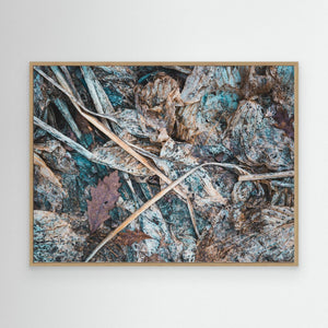 Göteborg – Naturens struktur vid Lilla Änggården | Canvas