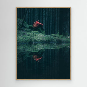 Herkulesskogen – Mystisk skog i Mölndal | Canvas