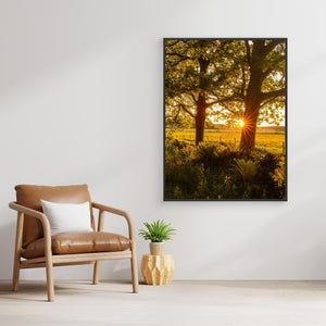 Solnedgång vid Hökälla naturreservat – Hisingen Göteborg | Canvas