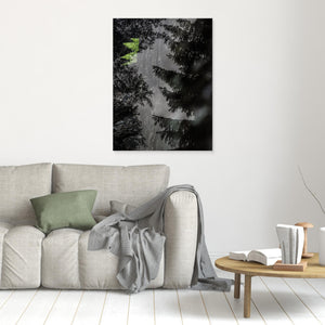 Ormbunke i Bråtaskogen – Dubbelexponering - CANVAS