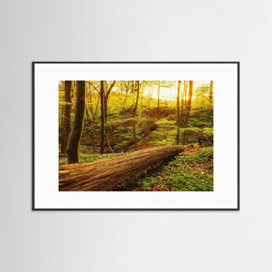 Vårglöd i Svejserdalen