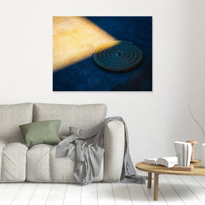 Reptamp i ljus och skugga – Lilla Bommen, Göteborg | Canvas