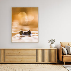 Groda i kvällsljus – Klare mosse, Hisingen | Canvas