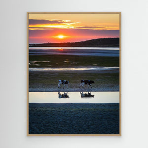 Kvällsvandring i Galtabäck - CANVAS