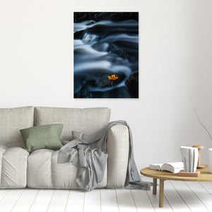 Ett löv i strömmen – Mölndalsån, Kvarnberget | Canvas