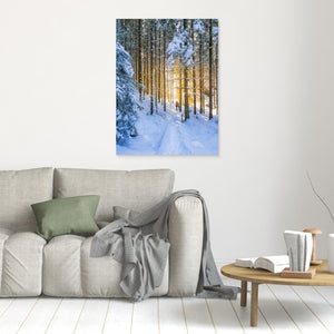 Vintervandring vid Helsjön – Marks kommun | Canvas