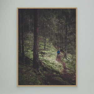 Stillhet i Bråtaskogen - CANVAS