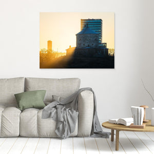 Lejonet i morgonljus - CANVAS