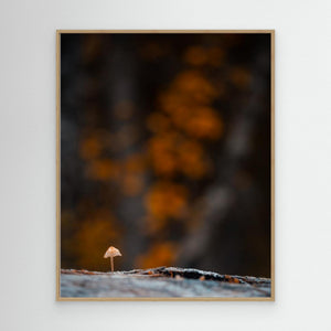 Skogens lilla väktare - CANVAS