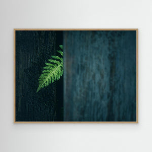 Grön envishet – Valderøy - CANVAS