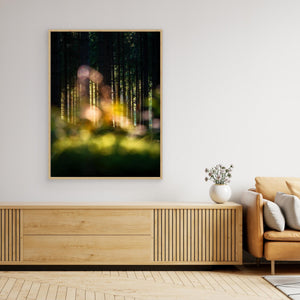 Skogens hemliga ljus - CANVAS