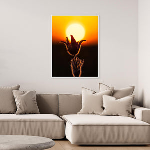 Backsippa i solnedgång – Fjärås Bräcka naturreservat - CANVAS