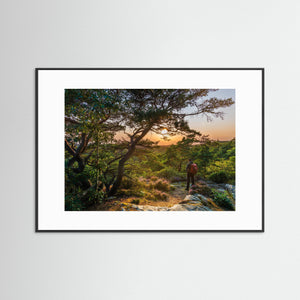 Solnedgång vid Ranebo naturskog – Svartedalen, Bohuslän | Fine Art Print 