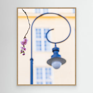 Minimalistisk vår - CANVAS