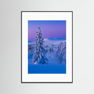 Vintervidder i Dalarna