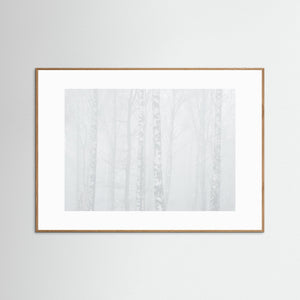 Dimma i björkskog vid Balltorp, Mölndal – vinterlandskap | Fine Art Print
