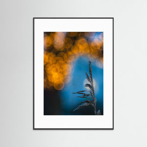 Vass & Ljus – Råda Säteri | Fine Art Print