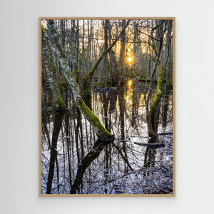 Solnedgång i Särö Västerskog – Kungsbacka | Canvas