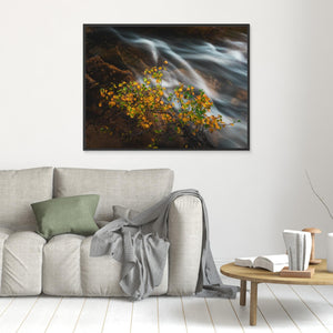 Höst vid Livsäterån - CANVAS