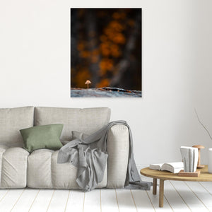 Skogens lilla väktare - CANVAS