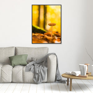 Höstglöd i Svejserdalen - CANVAS