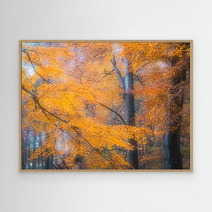 Gyllene höst i Svejserdalen - CANVAS