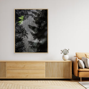 Ormbunke i Bråtaskogen – Dubbelexponering - CANVAS