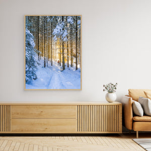 Vintervandring vid Helsjön – Marks kommun | Canvas