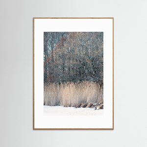 i vinterlandskap Stora Amundön Göteborg – Fotokonst | Fine Art Print