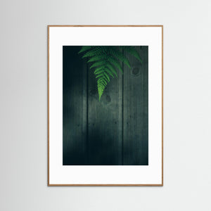 Ormbunke i Rya skog – Göteborg