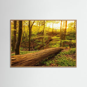 Vårglöd i Svejserdalen