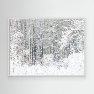 Snötäckt skog Änggårdsbergen Göteborg – Vinterlandskap | Canvas