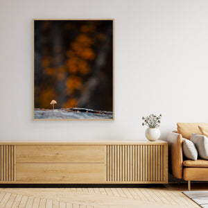 Skogens lilla väktare - CANVAS