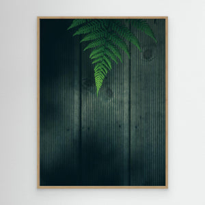 Ormbunke i Rya skog – Göteborg - CANVAS