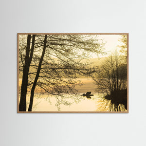 Soluppgång vid Stensjöns utlopp – Mölndal | Fine Art Print