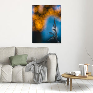 Vass & Ljus – Råda Säteri | Canvas