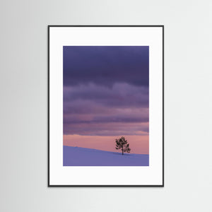 Ensamt träd i vinterfjäll – Grövelsjöfjällen i Dalarna | Fine Art Print