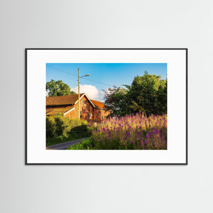 Sommarblommor vid Öxnäs – Kulturlandskap på Hisingen, Göteborg | Fine Art Print