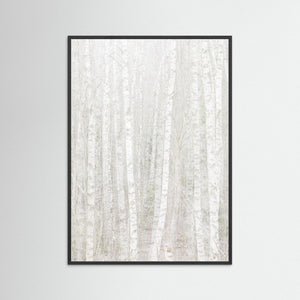 Änggårdsbergen i stillhet – Björkar i dubbelexponering | Fine Art Print