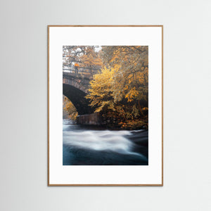 Höst vid Säveån – Lerums kommun | Fine Art Print
