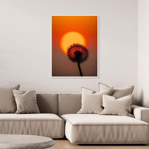 Danmark – Maskros i solnedgång vid Hirtshals | Canvas